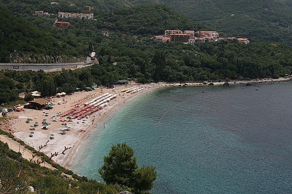 Dalex Apartament