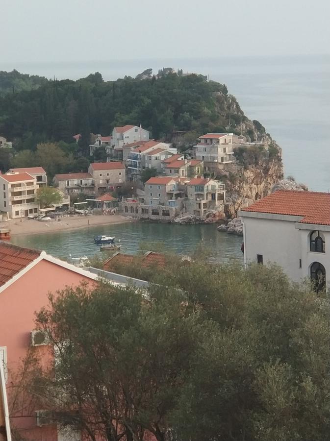 Apartament Dalex *
